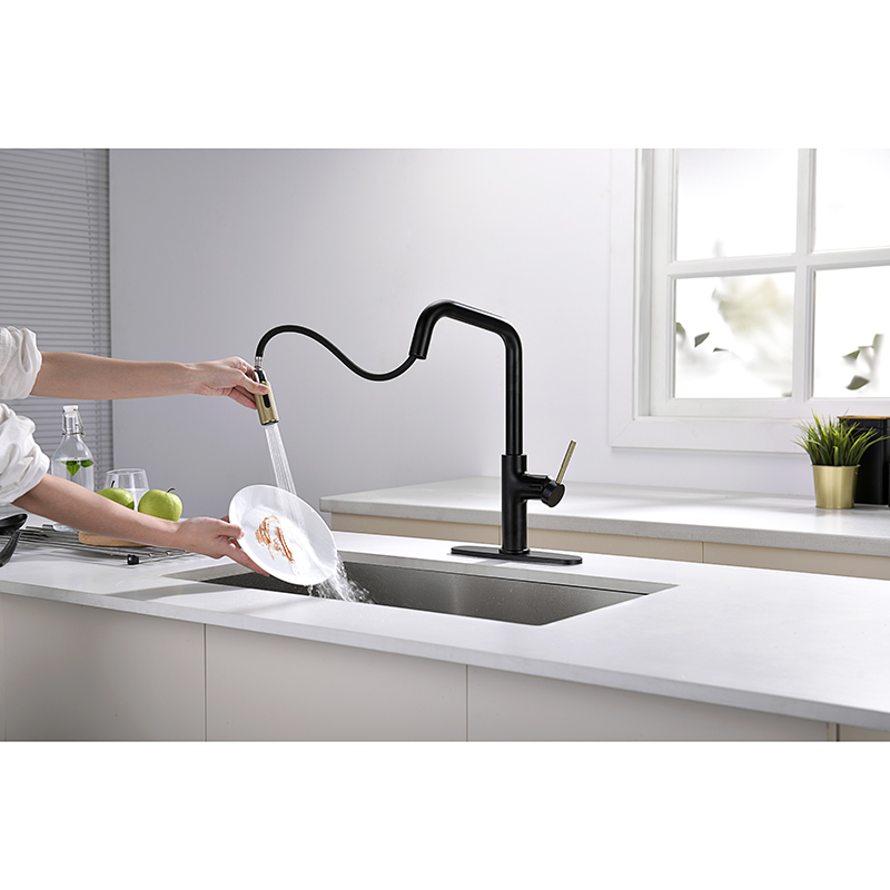 Kitchen Faucet