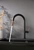 Lead Free Pull Down Kitchen Faucet