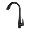 Stainless Steel Single Handle Pull Down Faucet