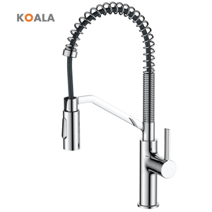 Modern 2 in 1 Pull out Down Kitchen Sink Taps Mixer Basin Faucets Black Kitchen Spring Faucet