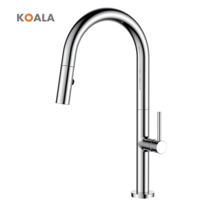Lead Free Brass Pull Down Sink Faucet