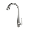 Stainless Steel Pull Down Faucet