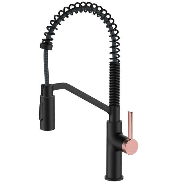 Modern 2 in 1 Pull out Down Kitchen Sink Taps Mixer Basin Faucets Black Kitchen Spring Faucet