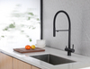 High Quality Simple Style Filter Function Dual Handle Pull Down Brass Kitchen Faucet