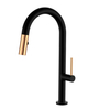 Lead Free Brass Pull Down Kitchen Faucet
