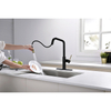 Cupc Certified Lead Free Brass Single Pull Down Rose Gold/Black Kitchen Tap Faucet with Etched Brass Handle