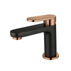 Modern Design Hot Selling Black Stainless Steel Bathroom Basin Faucet for Hot and Cold Water