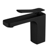 Stainless Steel Basin Hot and Cold Faucet Wash Basin Countertop Basin Toilet Bathroom Black Single Cooling Faucet